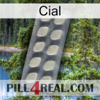 Cial 08